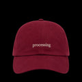 processing